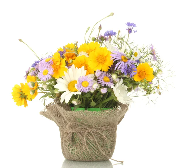 Bellissimo bouquet di fiori di campo luminosi in vaso da fiori, isolato su bianco — Foto Stock