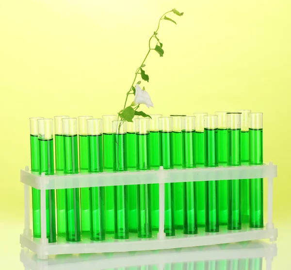 Tubos de ensayo con una solución verde y la planta sobre fondo amarillo — Foto de Stock
