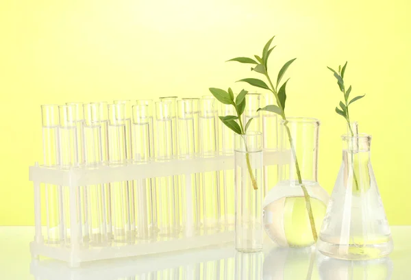 Tubes à essai avec une solution transparente et la plante sur fond jaune gros plan — Photo