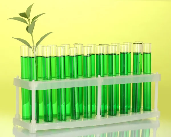 Тестовые трубки с зеленым раствором и растение на желтом фоне крупным планом — стоковое фото