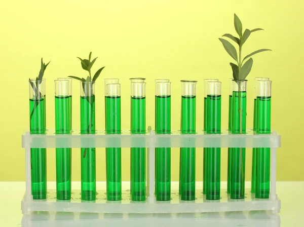 Test tüpleri ile yeşil bir çözüm ve bitki üzerinde sarı arka plan yakın çekim — Stok fotoğraf