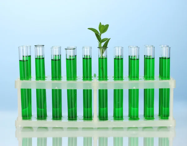 Zkumavky se zelená řešení a rostlin na modrém pozadí detail — Stock fotografie