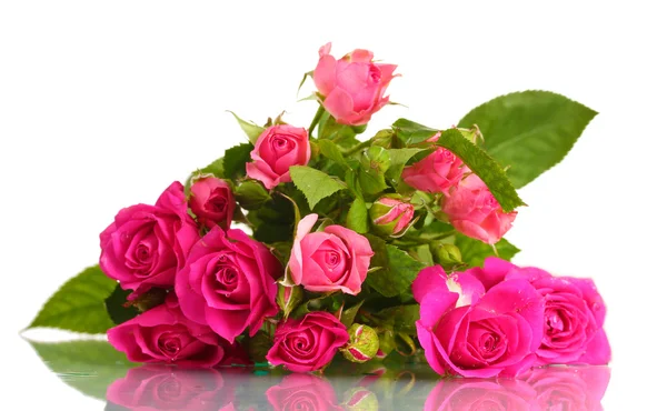 Muchas rosas rosadas aisladas en blanco — Foto de Stock