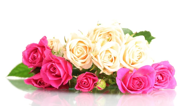 Bílé a růžové růže izolovaných na bílém — Stock fotografie