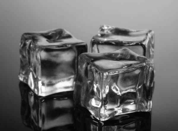 Кубики льда на сером фоне — стоковое фото