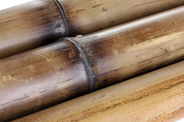 Fundo de bambu seco — Fotografia de Stock