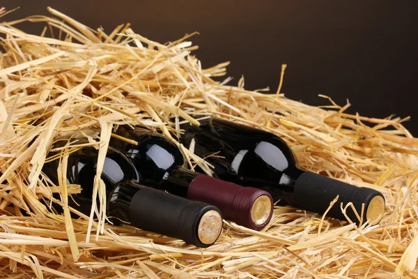 Bouteilles de grand vin sur du foin sur fond brun — Photo