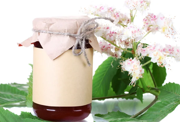 Pot met honing en kastanje takken op witte achtergrond close-up — Stockfoto