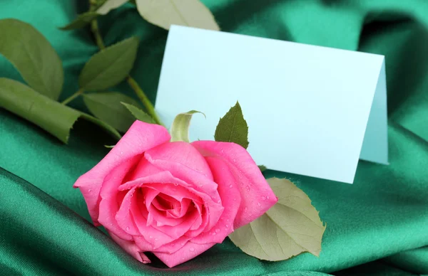 緑の布に美しいバラ — ストック写真