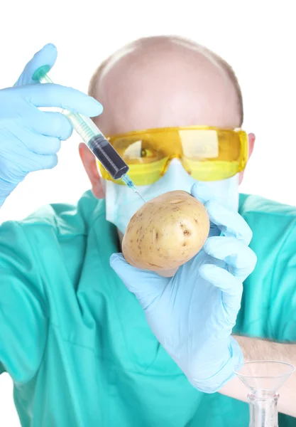 Scienziato iniettando OGM nella patata — Foto Stock