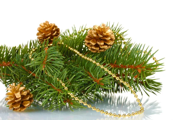 Groene kerstboom en kegels geïsoleerd op wit — Stockfoto