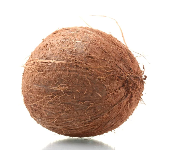 Сoconut isolated on white — Stock Photo, Image