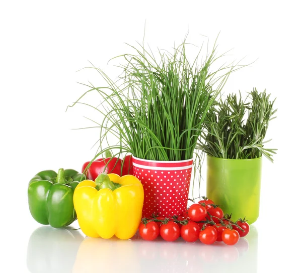 Romero verde fresco y cebolla en tazas, pimentón, tomates cereza aislada en blanco —  Fotos de Stock