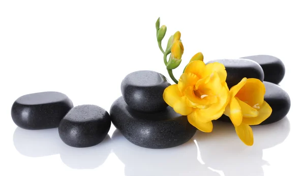 Spa stones and yellow flower isolated on white — Stock Photo, Image