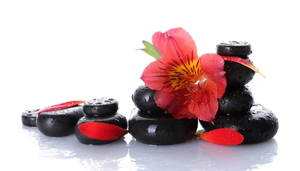 Wellness-Steine mit Tropfen, roten Blüten und Blütenblättern isoliert auf weiß — Stockfoto