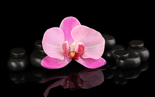 Pedras de spa com flor de orquídea isolada em preto — Fotografia de Stock