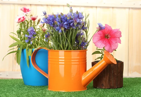 Regar lata e plantas em vasos de flores na grama no fundo de madeira — Fotografia de Stock