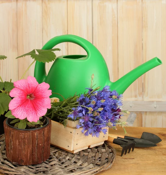 喷壶、 工具和木制背景上的花朵 — 图库照片