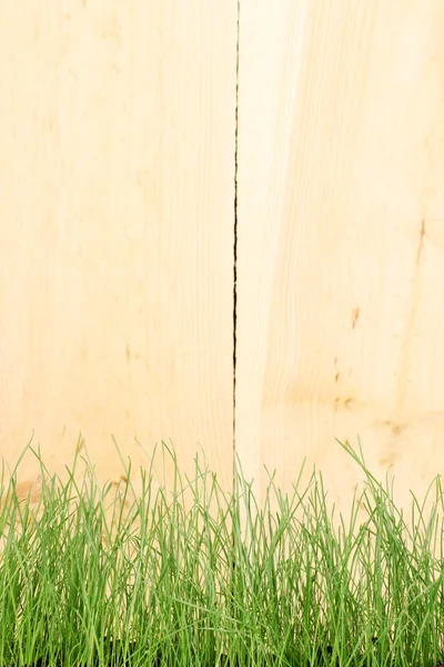 Groen gras op houten achtergrond — Stockfoto