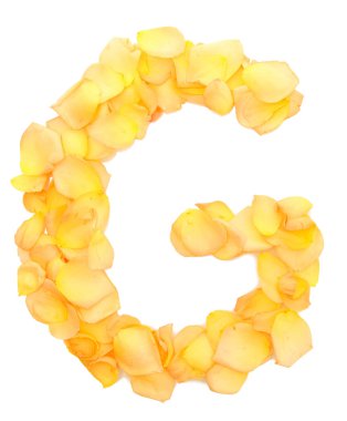 Orange rose petals forming letter G, isolated on white clipart