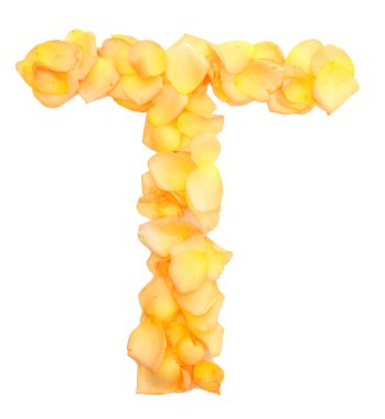 Orange rose petals forming letter T, isolated on white clipart