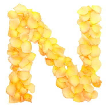 Orange rose petals forming letter N, isolated on white clipart