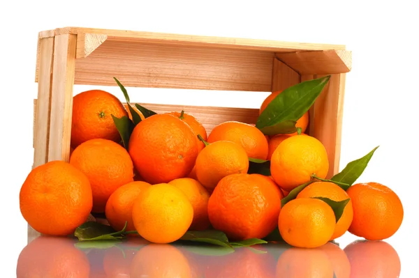 Las sabrosas mandarinas maduras con hojas en caja de madera cayeron aisladas en blanco —  Fotos de Stock