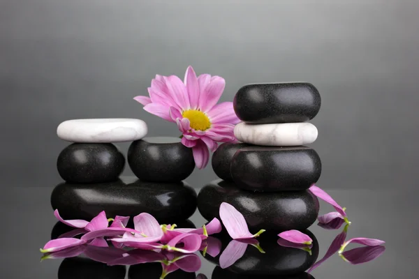 Piedras de spa con pétalos y flores sobre fondo gris —  Fotos de Stock