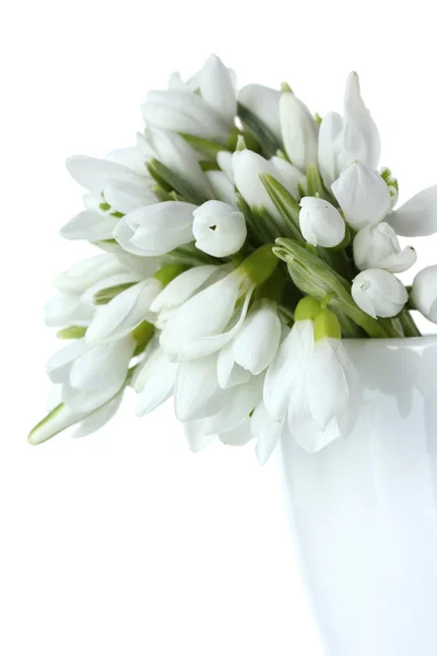 Beautiful bouquet of snowdrops in vase isolated on white — Stock Photo, Image
