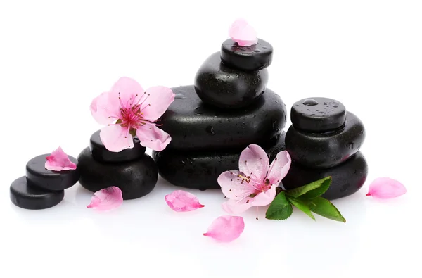 Spa stenen met druppels en roze sakura bloemen geïsoleerd op wit — Stockfoto