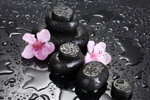 Pietre termali con gocce e fiori di sakura rosa su sfondo grigio — Foto Stock