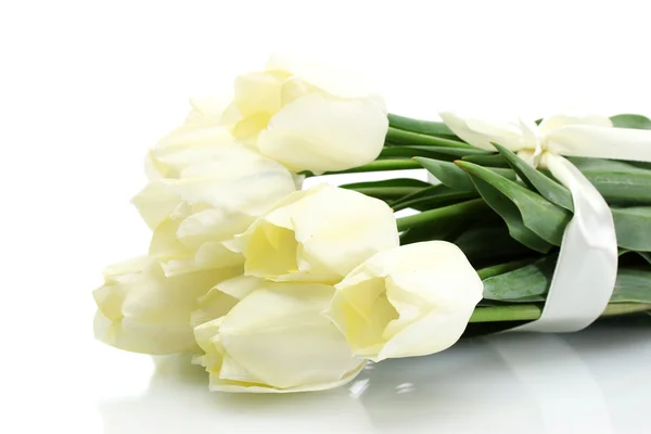 Hermosos tulipanes aislados en blanco — Foto de Stock