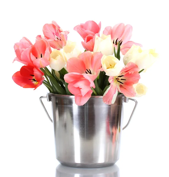 Schöne rosa Tulpen im Eimer isoliert auf weiß — Stockfoto