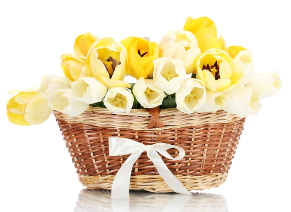 Belles tulipes dans le panier isolé sur blanc — Photo