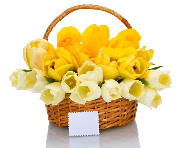 Красиві тюльпани в кошику ізольовані на білому — стокове фото