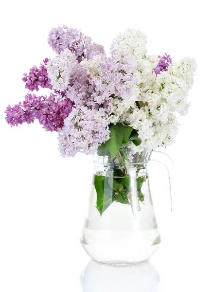 Schöne fliederfarbene Blüten im Glas isoliert auf weiß — Stockfoto