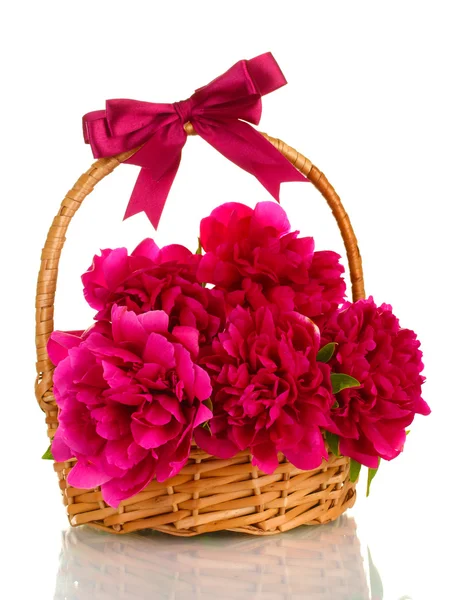 美丽的粉红色牡丹在篮子里用弓上白色隔离 — 图库照片