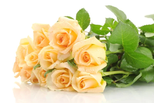 Hermoso ramo de rosas aisladas en blanco —  Fotos de Stock