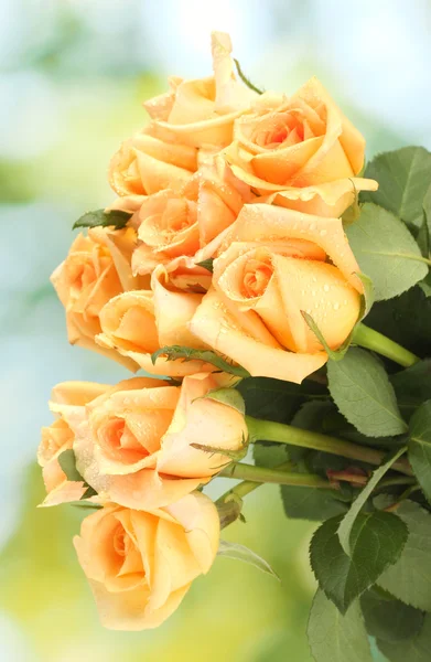Beau bouquet de roses sur fond vert — Photo