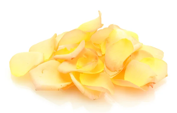 Piękny pomarańczowy płatki róż na białym tle — Zdjęcie stockowe