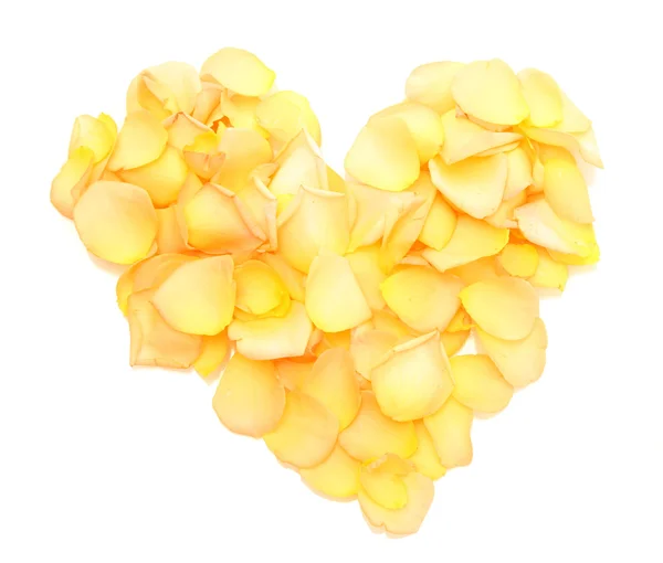 Vackra hjärtat av orange rosenblad isolerad på vit — Stockfoto