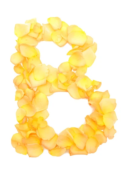 Оранжевые лепестки роз, образующие букву B, изолированные на белом — стоковое фото