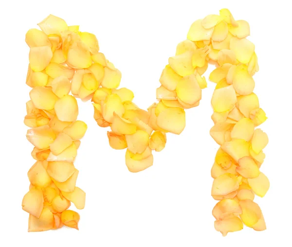 오렌지 장미 꽃잎 편지 M, 흰색 절연을 형성 — 스톡 사진