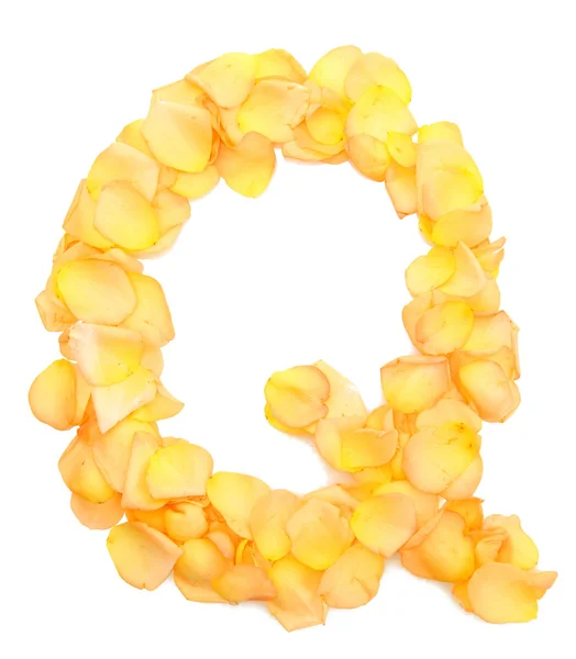 Oransje roseblader som danner bokstaven Q, isolert på hvitt – stockfoto