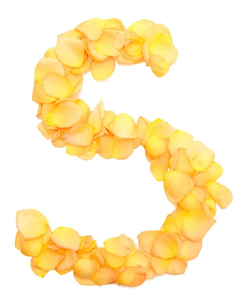 Оранжевые лепестки роз, образующие букву S, изолированные на белом — стоковое фото