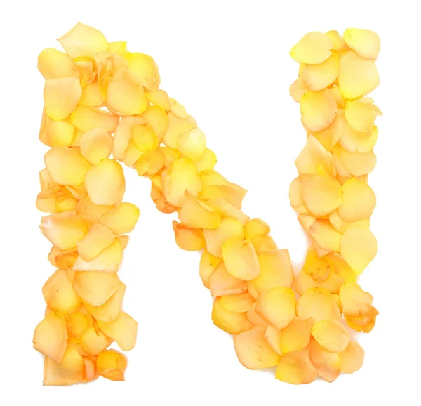 Оранжевые лепестки роз, образующие букву N, изолированные на белом — стоковое фото