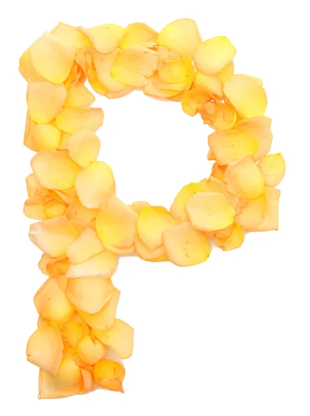 橙色玫瑰花瓣形成字母 p，孤立在白色 — 图库照片