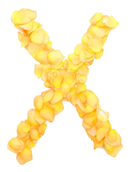 Оранжевые лепестки роз, образующие букву X, изолированные на белом — стоковое фото