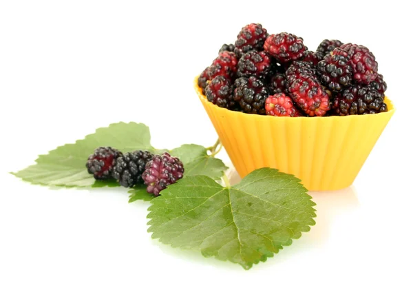 Bright silicone cutter with ripe mulberry isolated on white — Stock Photo, Image