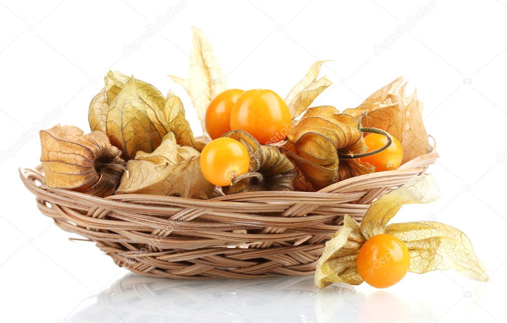Physalis in basket isolated on white